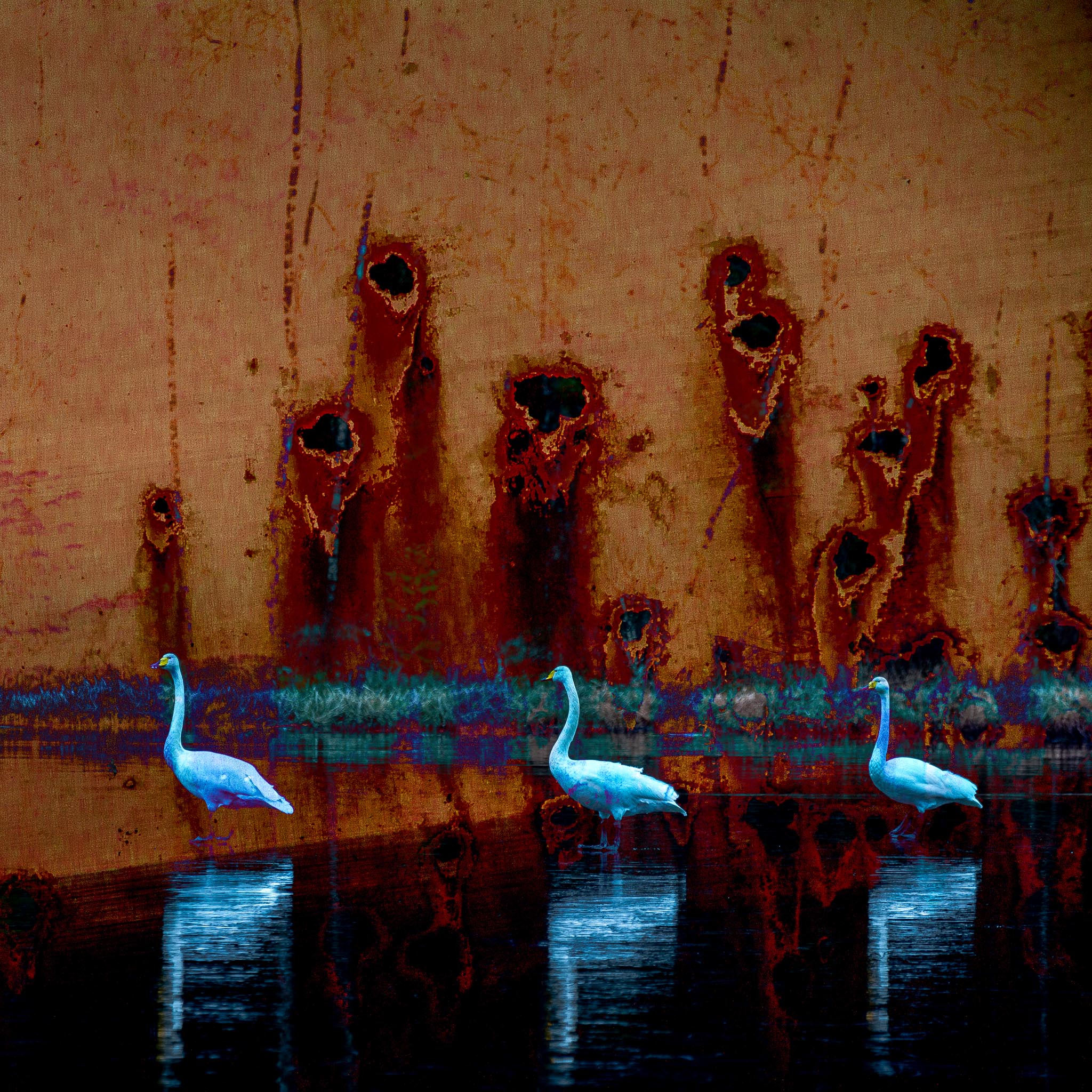 Veggbilder fotokunst kunstfoto foto kunst bilder til salgs